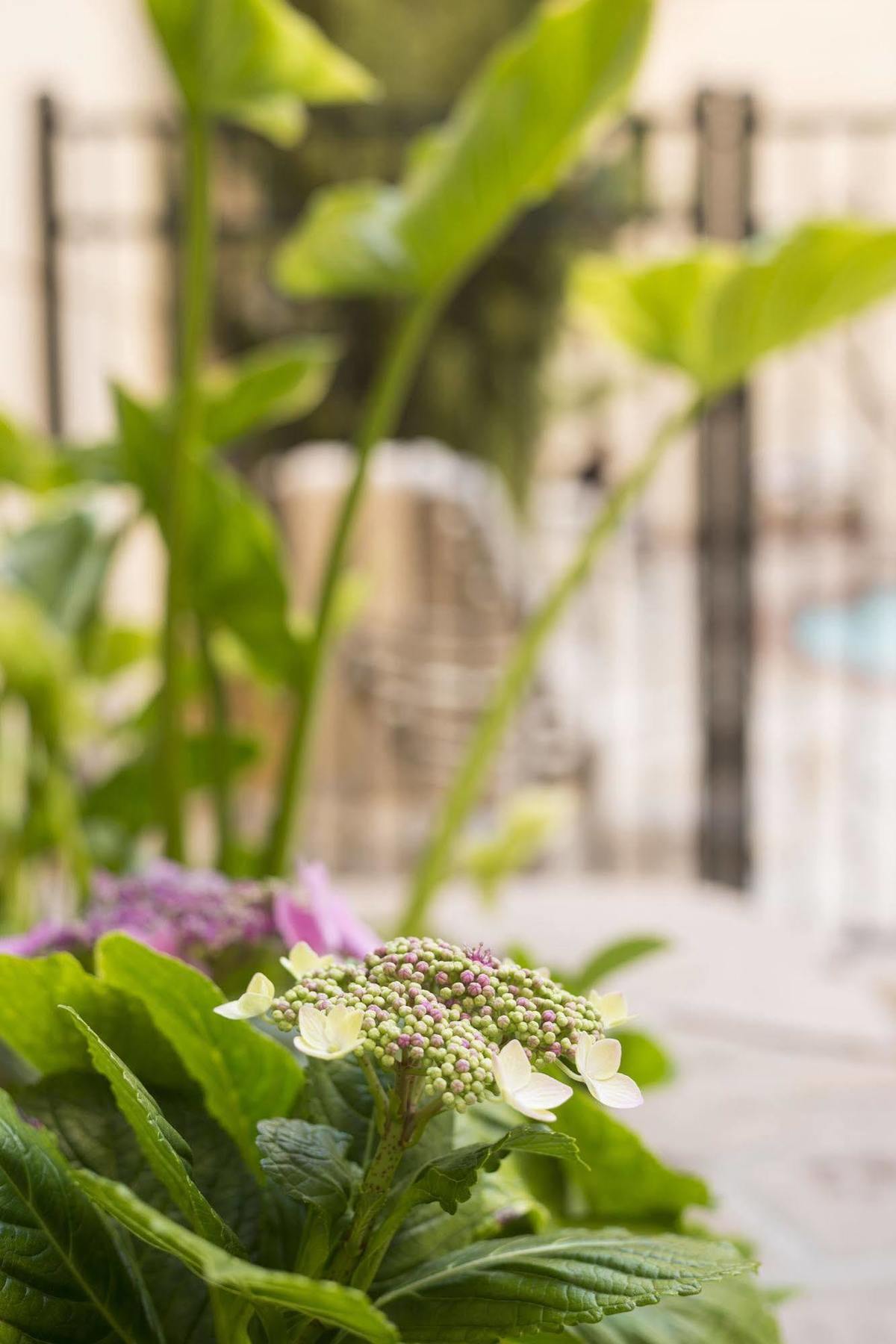 Ayres Hotel Manhattan Beach Хоторн Екстериор снимка